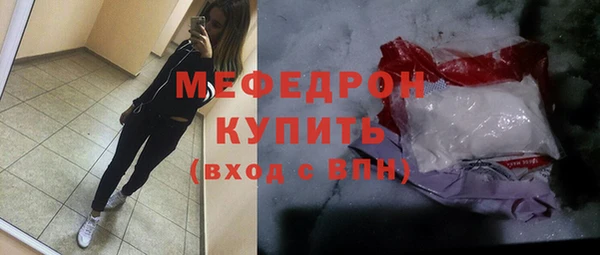 крисы Бородино