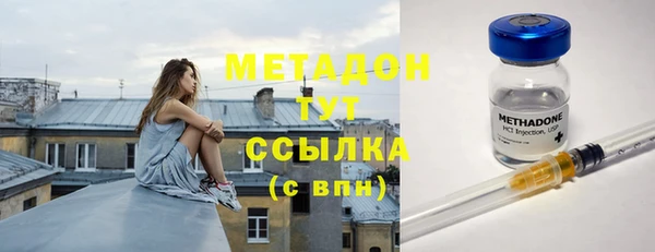 крисы Бородино