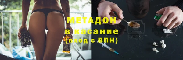 крисы Бородино