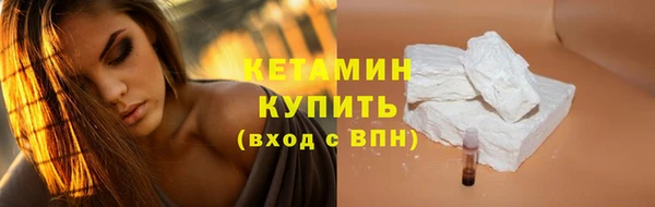 крисы Бородино