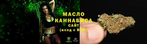 крисы Бородино