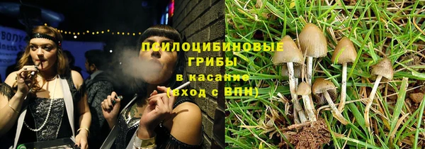 крисы Бородино
