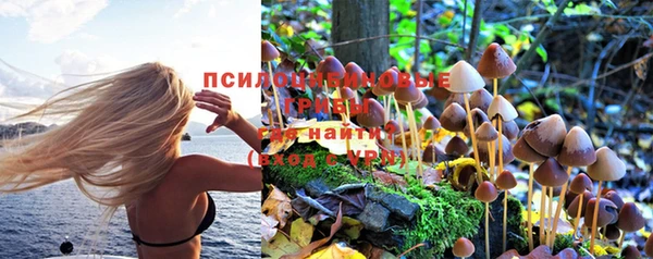 PSILOCYBIN Бугульма