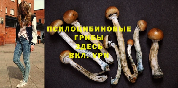 крисы Бородино