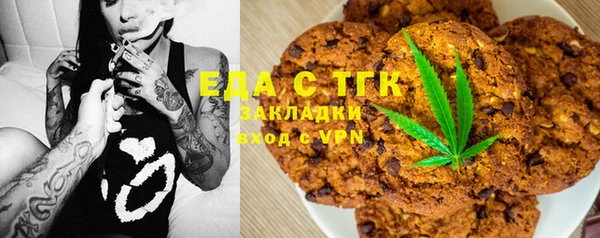 крисы Бородино