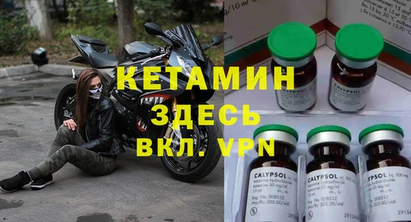 крисы Бородино