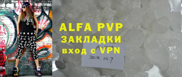 крисы Бородино